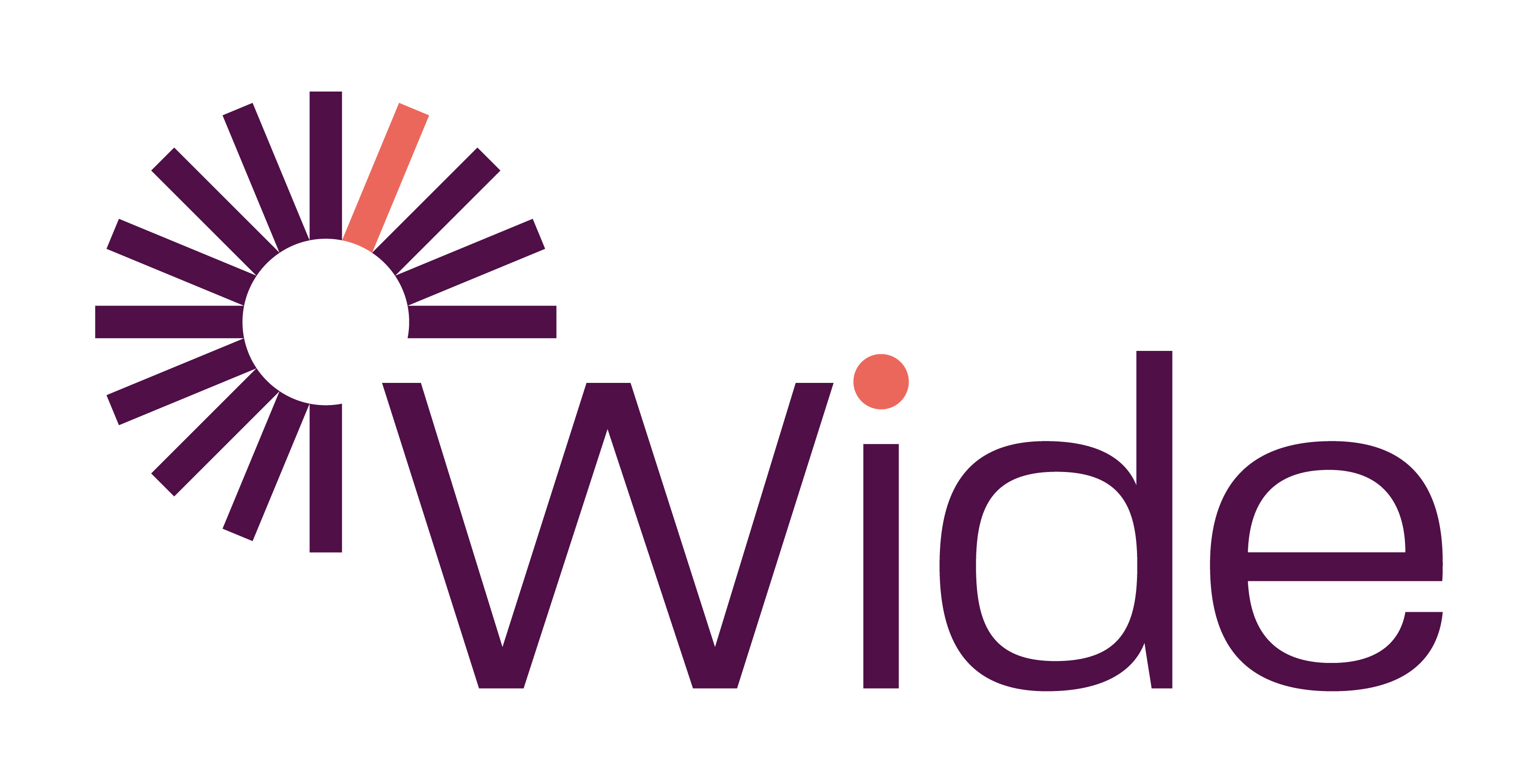 Wide logo